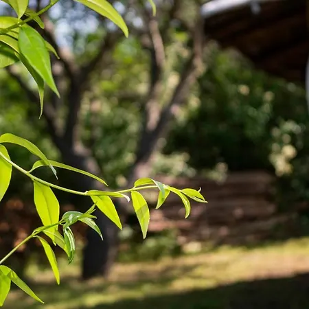 Clay House بيت للعطل Banya (Burgas)